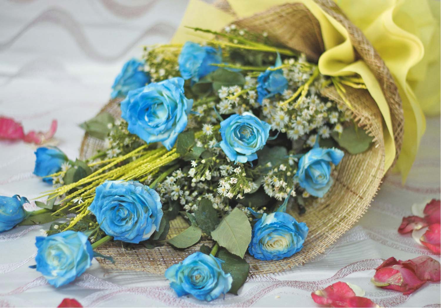 1-dozen-blue-roses-spray